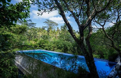 Rental of a premium villa with jungle view, Keliki, Bali, Indonesia